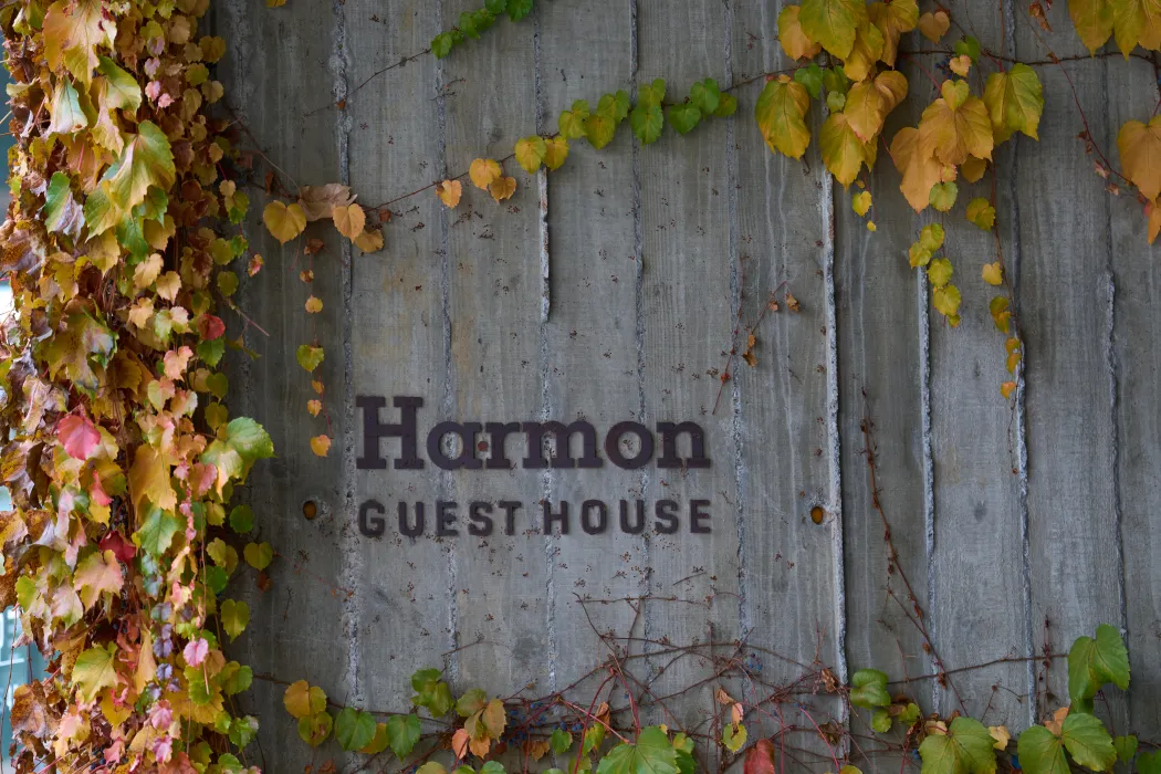 Detail of textured concrete will with sign reading Harmon Guesthouse and climbing vines