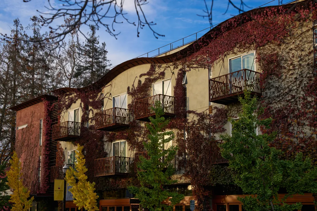 Partial ivy-covered facade of building with sculptural wavy roofline, with fall foliage in foreground